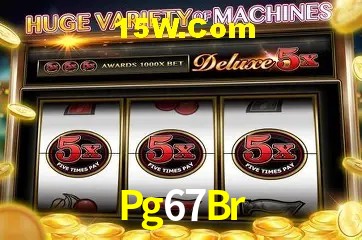 Experiência VIP Pg67Br